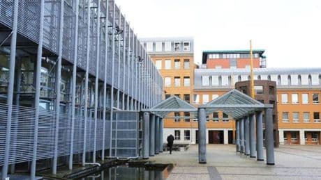 Tot acht jaar cel voor familiebende die oudere vrouwen in Brabant overviel