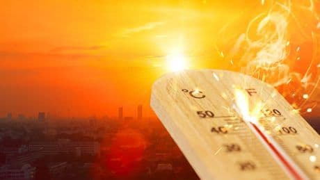 En soğuk illerden birine sıcaklık alarmı verildi: Hafta sonu sıcaklıklar yükseliyor: Meteoroloji yangın riskine karşı uyardı