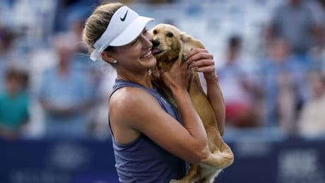 Süße Szene! - Hund flitzt plötzlich über den Centre Court