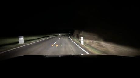 Rehe im Scheinwerferlicht: Vermeiden Sie diesen typischen Fahrfehler