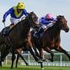 Newbury to pay dividends as major races pull in the crowds