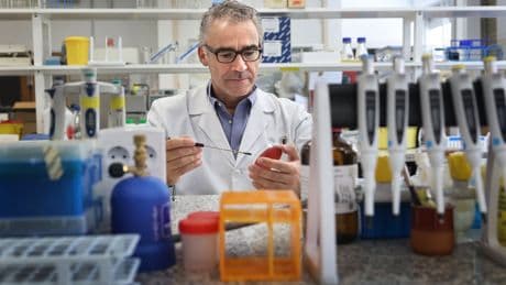 Un gen que convierte las bacterias en superbacterias se extiende por hospitales y granjas