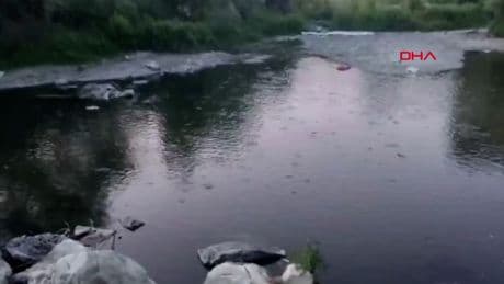 Çanakkale’de çay kısmen kurudu: Toplu balık ölümleri yaşandı
