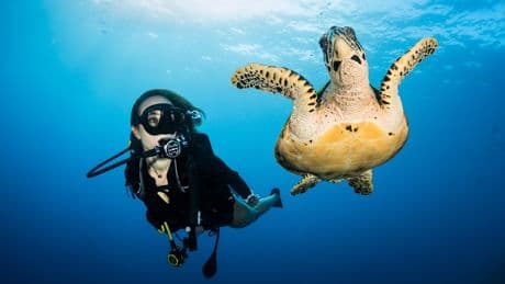 Plongée sous-marine : cinq conseils pour se lancer