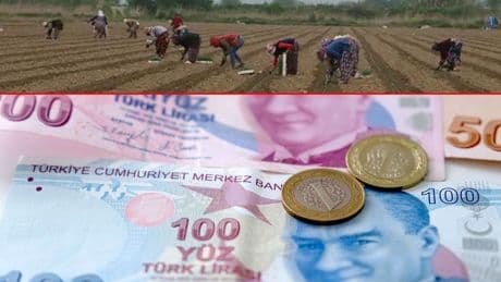 Konya'da tarım işçilerinin günlük yevmiyesi belli oldu