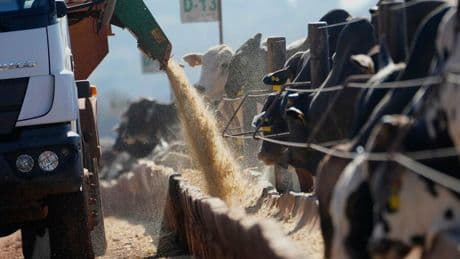 Rindfleisch: Trumps Brasilien-Zölle könnten Hamburger  in den USA verteuern