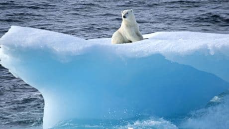 Un nobel, un ex de la NASA y científicos españoles alertan sobre el fracaso total de los modelos climáticos