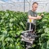 Met een AI-camera plagen én landbouwgif te lijf: ‘We kunnen nu eerder ingrijpen met biologische bestrijders’