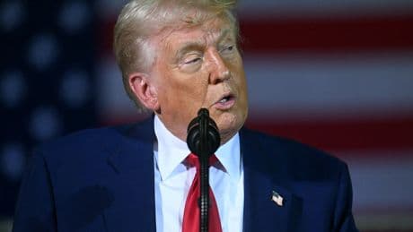 Trump Dismisses 'Fake' Polls Showing His Approval Rating At Record Lows