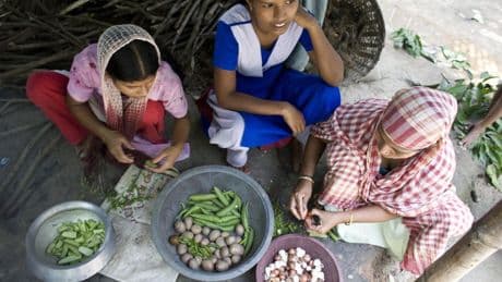 Inclusive Finance: The Overlooked Engine Of Climate Resilience