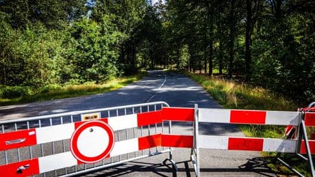 Studentenkamp in bos bij Leusden geannuleerd vanwege aanwezigheid wolf