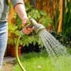Hoe bescherm je de planten in je tuin tegen hitte? “Op die manier krijgt het water geen kans om weg te vloeien”