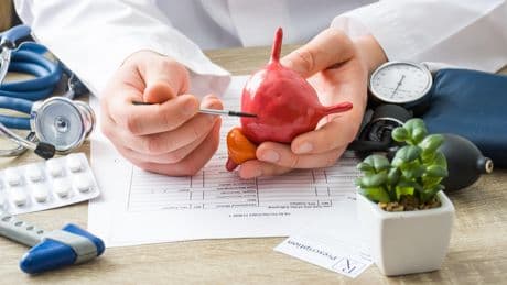 « Le sang dans les urines n’est jamais banal » : le cancer de la vessie, évitable… et souvent guérissable