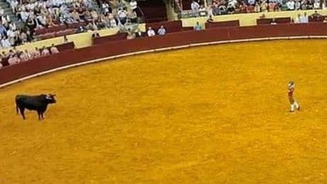 Horror moment top Portuguese bullfighter killed as animal rams him against wall