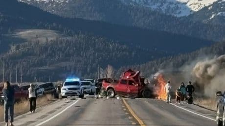 Yellowstone tour van crash: At least seven dead as vehicle becomes fireball