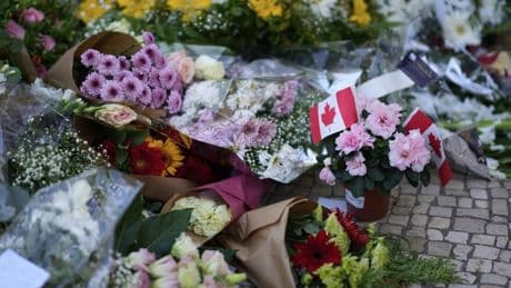 Deadly Portugal funicular crash likely due to problems with cable, report says