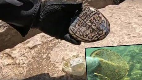 Batman Çayı'na dalış eğitimi için girdiler; suyun altından çıkan muska herkesi şoke etti
