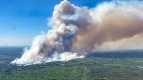 Incendies au Canada: près de 6 millions d'hectares partis en fumée, l'équivalent de la Croatie