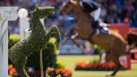Pferdesport: Reit-WM 2026 in Aachen: Dressur vor 35.000 Menschen