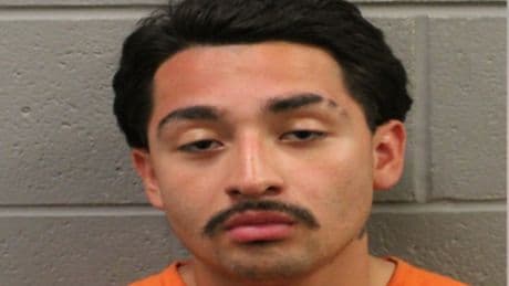Two elderly men were killed in an ambush in the park. Now cops say they have arrested the suspect