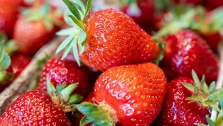 Belastung mit Pestiziden: Wie gespritzt sind Erdbeeren in unseren Supermärkten?