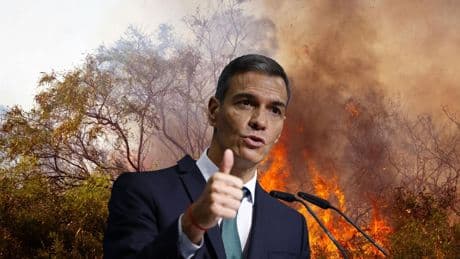 &quot;Nos va la vida en ello&quot;: Sánchez tergiversa las cifras para augurar  una catástrofe climática con 20.000 muertos
