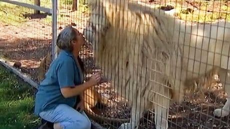 Woman left with 'severe' injuries following horror lion attack at zoo