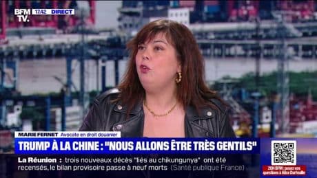 Droits de douane de Trump contre la Chine: "Ça serait bien qu'ils arrivent à négocier un accord", explique Marie Fernet, avocate en droit douanier