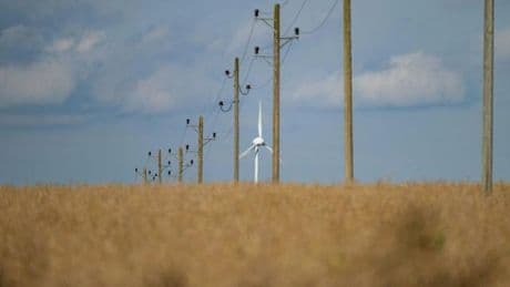 Energiepolitik: Umweltverband WWF sieht Südwesten bei Energiewende hinten