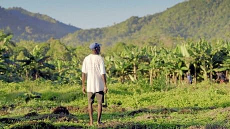 Tout ce que vous avez toujours voulu savoir sur la dette haïtienne dans un documentaire