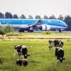 Rechter tikt Schiphol op de vingers: natuurvergunning deugt niet