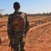 Jihadists 'summarily executed' 127 people in Niger, says rights group