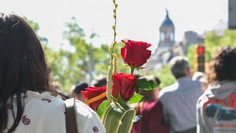 Esta es la rosa que ha triunfado este Sant Jordi 2025