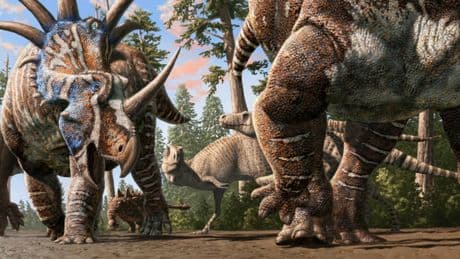 Dinosaurier als Reise-Buddies: Forscher entdecken 76 Millionen Jahre alte Spuren