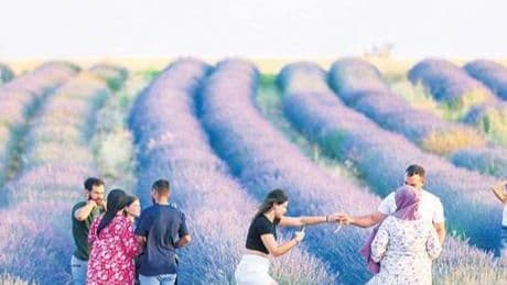 Uşak’ta ‘mor bahçeler’e ilgi gün geçtikçe artıyor
