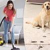 Expert issues urgent warning over one part of your house that may look clean - but is 'packed with bacteria'