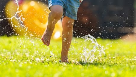UK Heatwave: Gardeners Urged To Clear These Items From Their Lawns