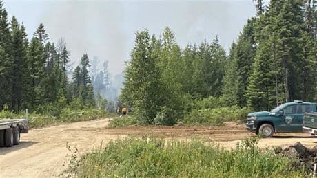 New Brunswick to lift most wildfire-related restrictions, fire ban remains in place
