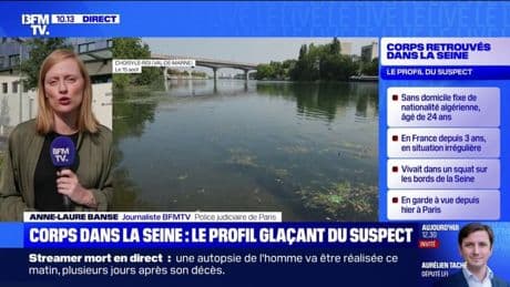 Corps retrouvés dans la Seine: ce que l’on sait du suspect placé en garde à vue