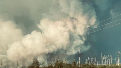 Métis Nation-Saskatchewan declares wildfire state of emergency