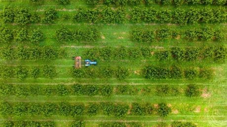 From Carbon To Soil: Why Climate Farmers Are Rethinking Offsets