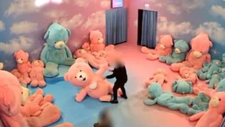 Vestita da orso alla mostra per bimbi, presa a pugni da un visitatore