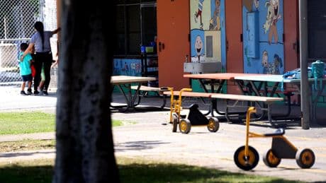 Goal of welfare checks: Protect children or launch deportations?