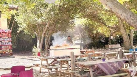 Milli parkta mangal ateşi... Bizi işte bu kafa yakıyor