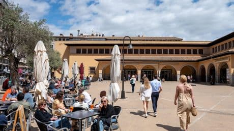 Kulinarischer Geheimtipp - Hier erleben Sie das wahre Mallorca