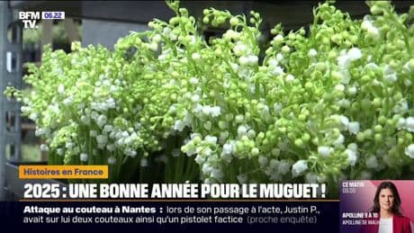En Loire-Atlantique, la météo a été favorable pour la cueillette de muguet