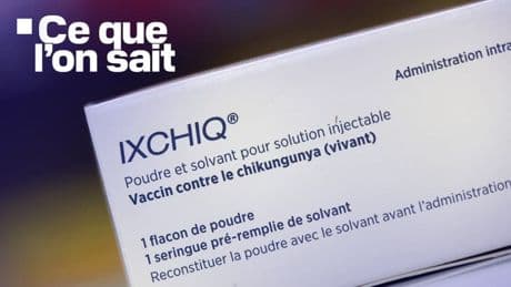Chikungunya: ce que l'on sait des "événements indésirables graves" lors de la campagne de vaccination
