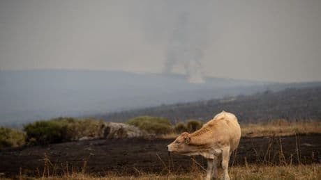 PROGRAMADA EPC  La crisis climática ya pasa factura al campo español, que cada año pierde unos 550 millones de euros