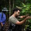 What would happen if the Amazon rainforest dried out? This decades-long experiment has some answers