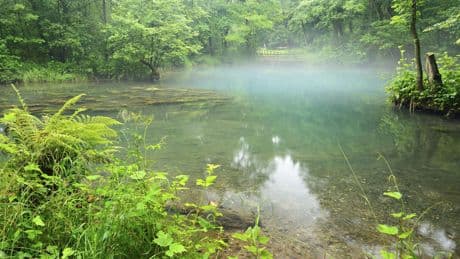 Ausflug ab Braunschweig: Rhumequelle am Harz – Naturphänomen